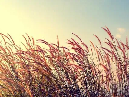 This Breath Is Enough