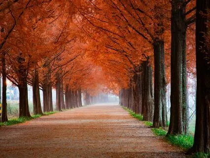 This Frequency Will Make You Happy & Clarify Your Mind