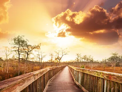 In Surrender There Is Victory