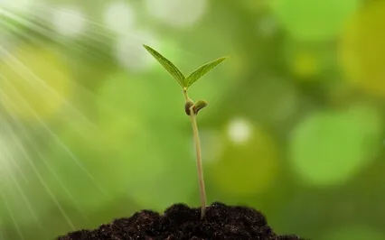 "This Is A New Moment " Mantra Meditation For A Fresh Start