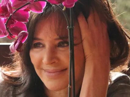 I AM. Saint Germain Daily Affirmations