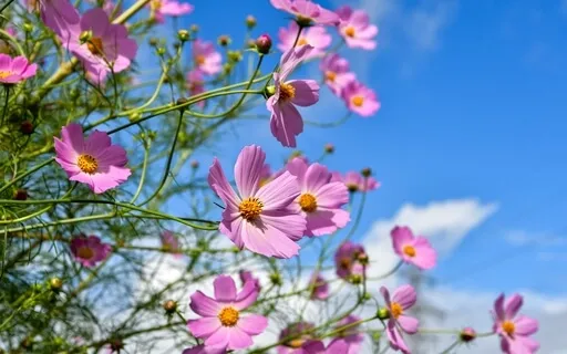  This Is An Unalterable Law