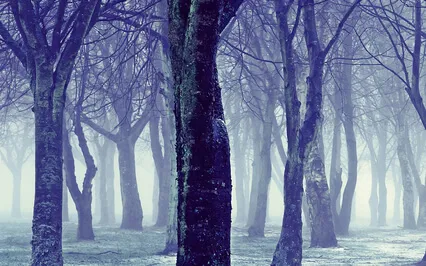 This Is How Happiness Happens