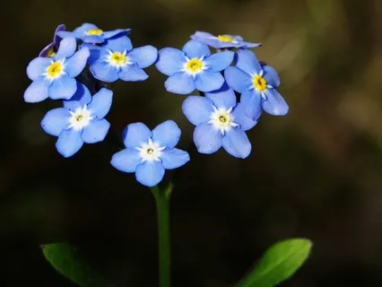 This Is Me:  Body Scan