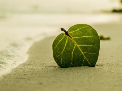 This Is My Time  |  Minimalistic Soundscape For Meditation