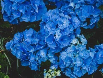 This Is Now: A Short Practice For Acceptance