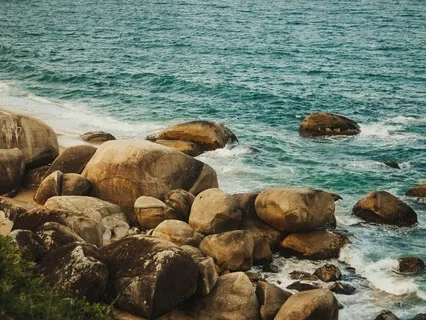 This Is Where I Am Meant To Be