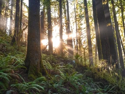 This Is Where You Are