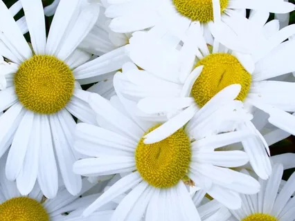 This Journey Called Life - We Are All In This Together