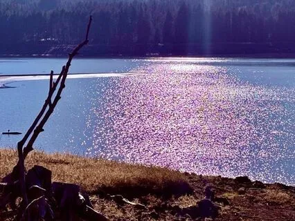 This Joy That I Have...