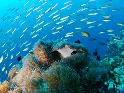 This Living, Breathing, Human Body