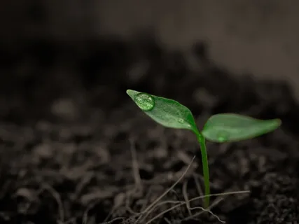 This Moment Is My Destiny With Catherine Rains