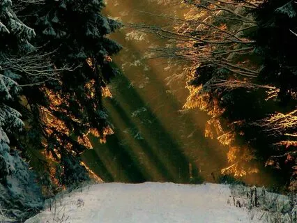 Lucid Dreaming Frequency Trigger Formula (432Hz Ambisonic)