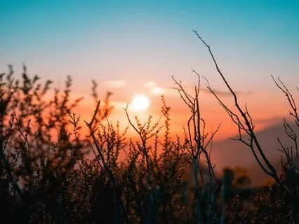 Clarifying The Self: This New Day