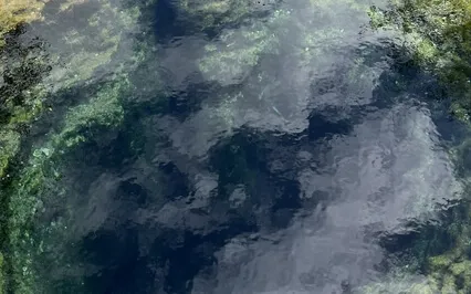 This Or Something Better