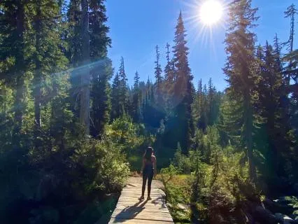 This Path Is Yours: A Guided Visualization