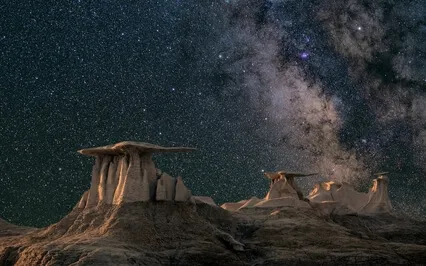 This Precious Moment