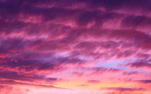 This Precious Morning 