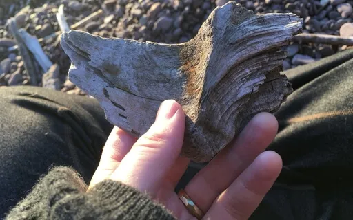 This Simplicity (Gratitude Song)