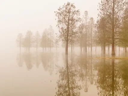 This Space Of Stillness