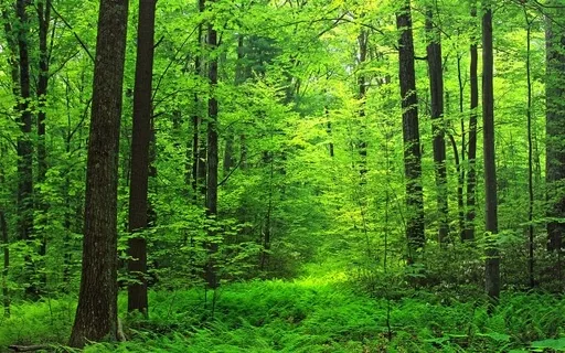 This Too Shall Pass - Guided Meditation