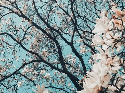 This We Have Now | Rumi Poem