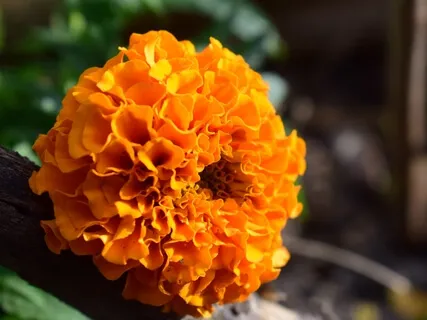 This World Of Illusion