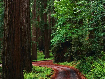 Those Moments That Are Our Perfect Teachers 