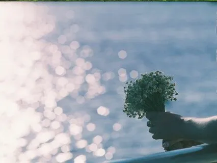 Those Words Of Your Lips