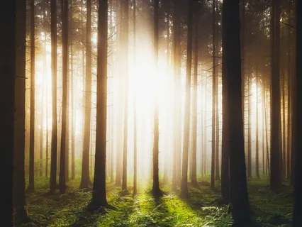 Thou Art Love, And I Am Made In Thine Image