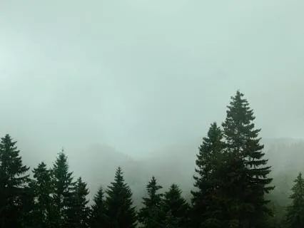 Thought Box Exercise For Overthinkers