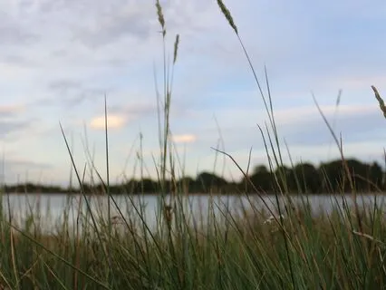 Thought Bus Meditation
