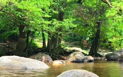 Thought Created Stress