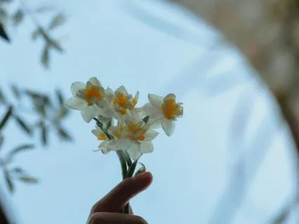 Thought Labeling & Un-labeling: Part 1 (15min) 4.14.26