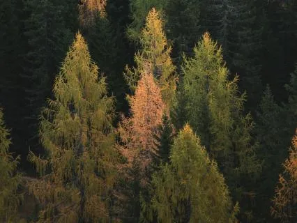 Thought Meditation: Hear In, See In