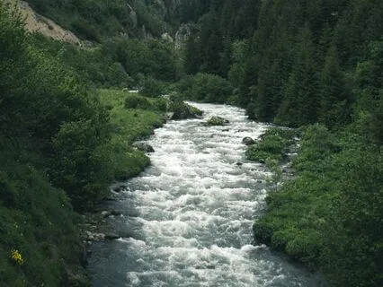 Thought Observation: Watching The Mind Flow