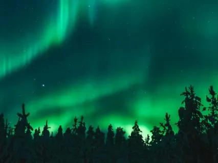 Thoughtless Sleep: Overnight 741 Hz