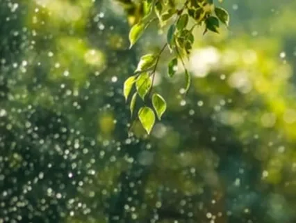 Thoughts Cleaning Machine (17-Minute Version)