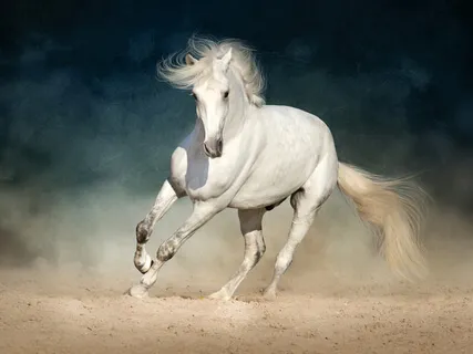 Thoughts Like Horses