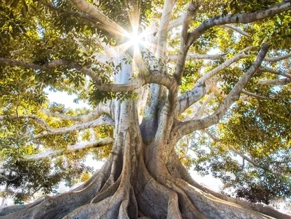 Thoughts Of Unification