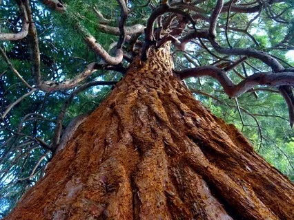 Thoughts On Letting Go