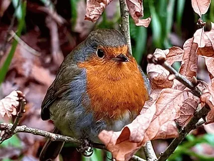 Threads That Connect Us - November 28