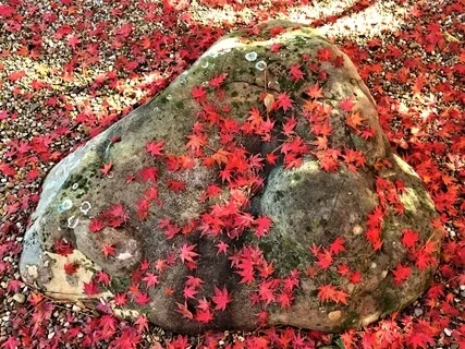 Threads To The Absolute