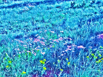 Three Breaths And Beginning Practice