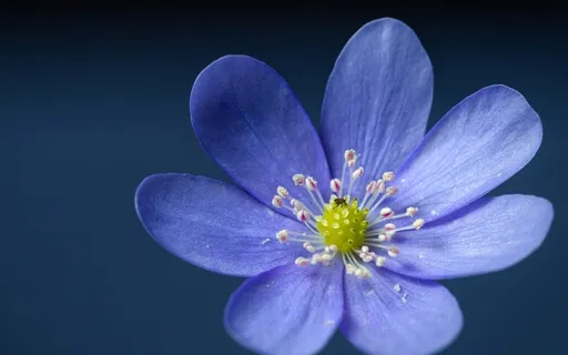 Three Deep Breaths - A Micro Practice