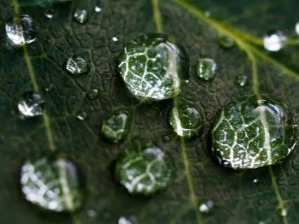 Three Insights That Free The Heart