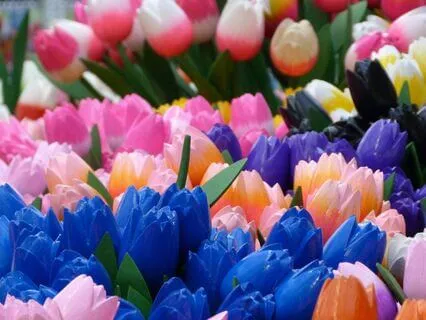 Three Mindful Breaths