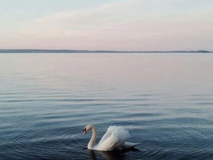 Three Mindful Breaths