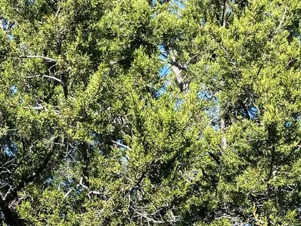 Three Minute Awakening Breath For Energy And Revitalization