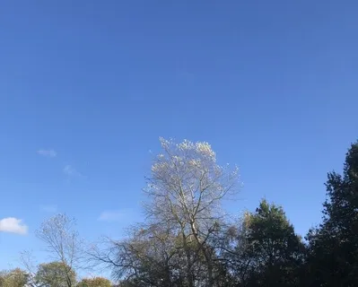 Three-Minute Breathing Space